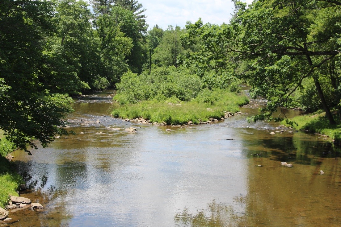 Pre-restoration photo of Linville River