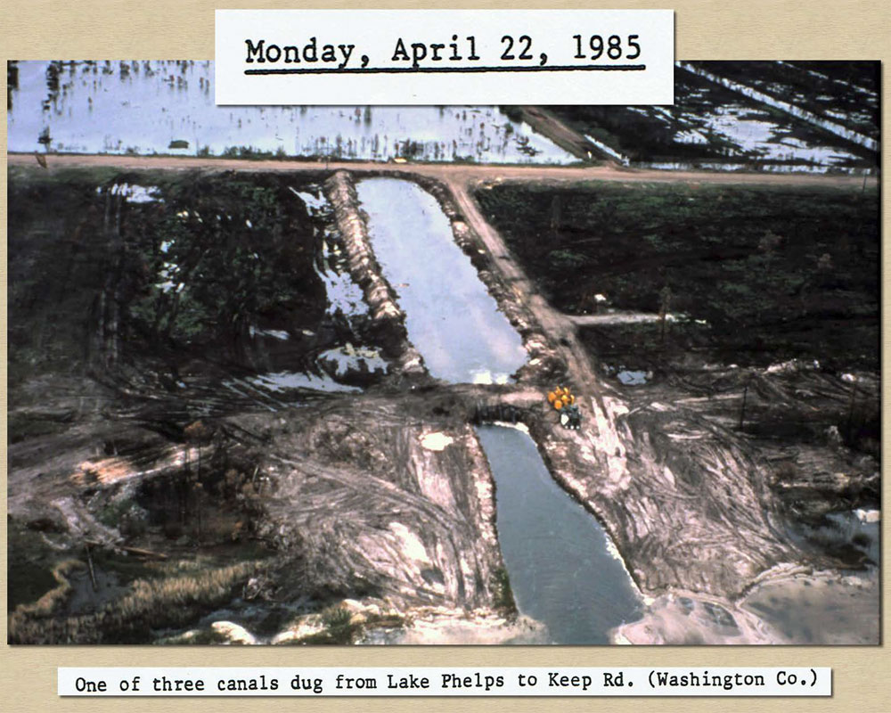 April 22, 1985: One of three canals dug from Lake Phelps to Keep Road in Washington County.