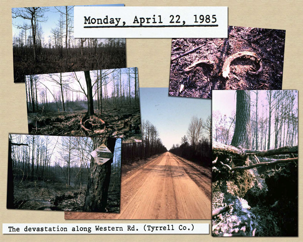 April 22, 1985: Photo of Fire devastation along Western Road in Tyrrell County.