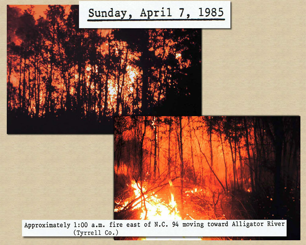 April 7, 1985 1:00 am: Photos of fire moving east of NC 94 headed towards Alligator River in 
				   Tyrrell County