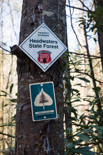 Tree with Headwaters Boundary Sign
