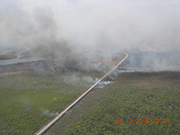 Whipping Creek Road Fire