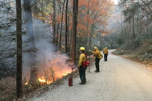 Burning Out The Chestnut Knob Fire