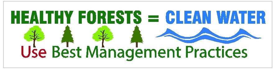 BMP Bumper Sticker: Healthy Forests equal Clean Water