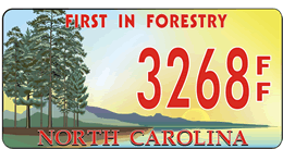 First in Forestry License Plate