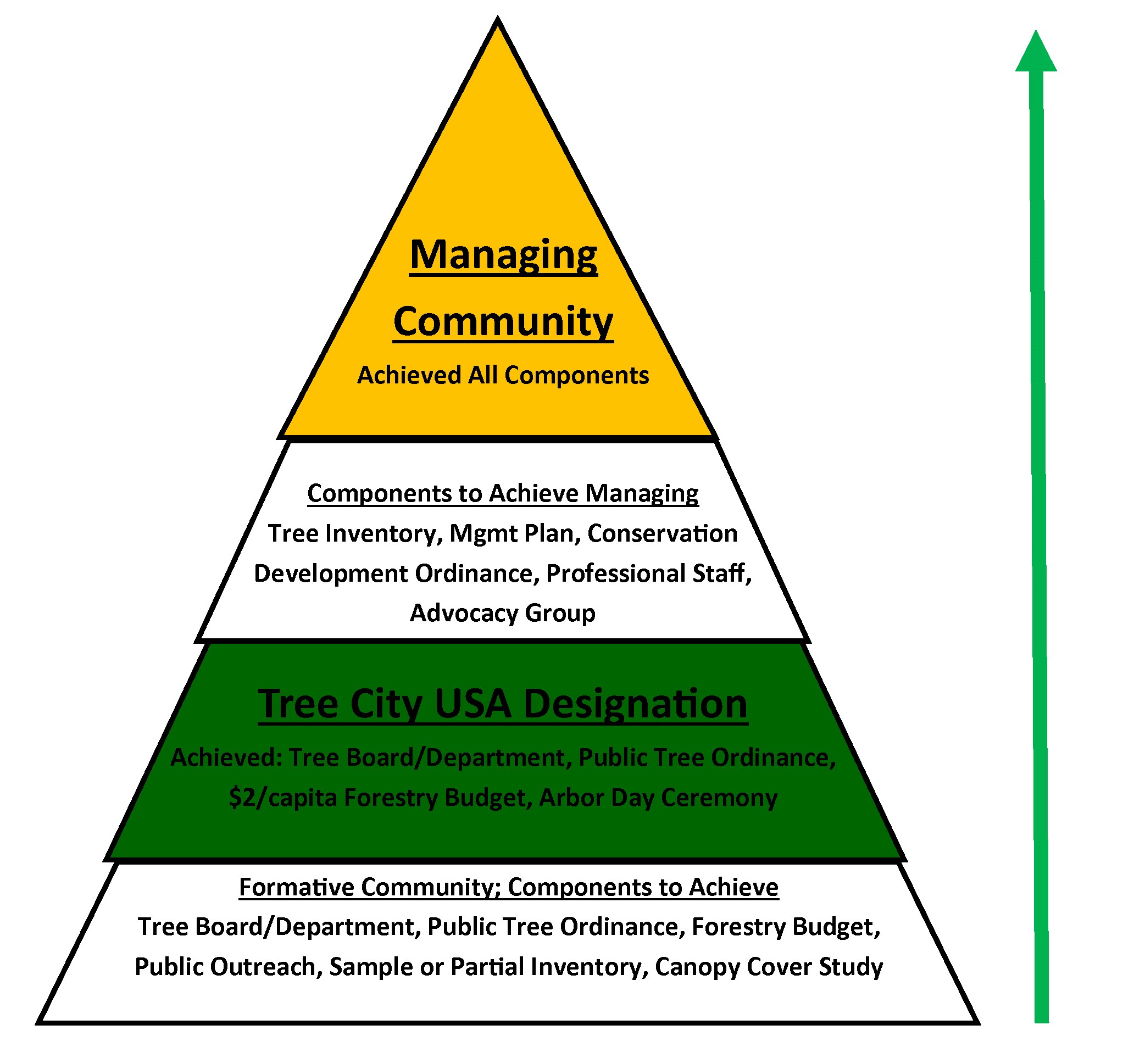 Community Forestry Initiative Diagram