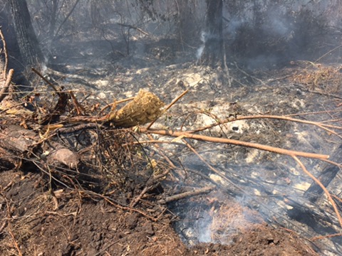 Deppe Trail Fire containment line and hot spots