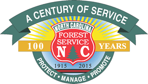 NCFS Centennial Logo