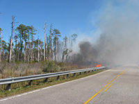 Whipping Creek Road Fire