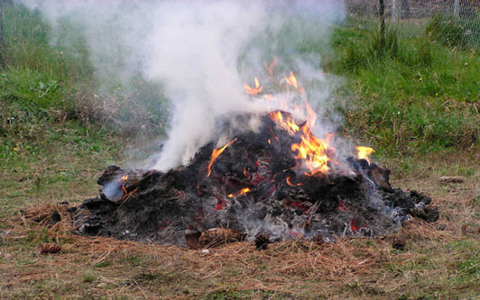 Pile of debris burning