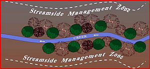 Streamside Management Zone
